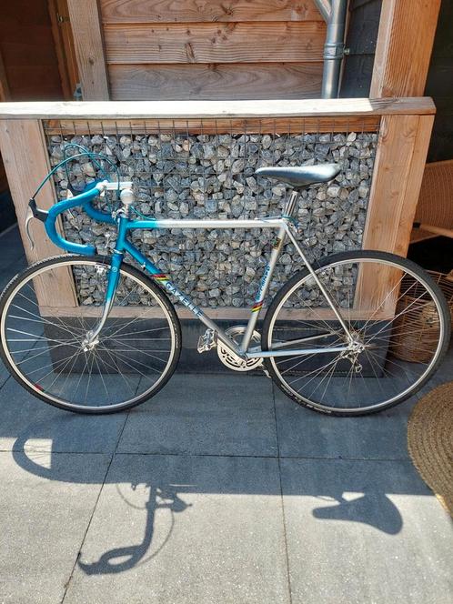 Gazelle cross trophy, Fietsen en Brommers, Fietsen | Racefietsen, Zo goed als nieuw, Gazelle, 28 inch, Staal, 53 tot 57 cm, Ophalen