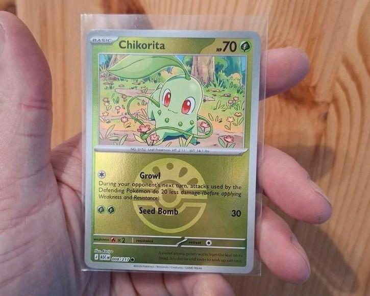 Chikorita friendball reverse holo!, Hobby en Vrije tijd, Verzamelkaartspellen | Pokémon, Zo goed als nieuw, Ophalen of Verzenden