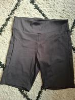 Sportbroek / Fietsbroek - Maat L, Kleding | Dames, Zwart, Maat 42/44 (L), Ophalen of Verzenden, Zo goed als nieuw