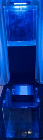 2x blue marine 60 compleet, Dieren en Toebehoren, Vissen | Aquaria en Toebehoren, Ophalen, Leeg aquarium