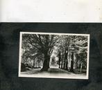 Ansicht Assen - Asserbos, Verzenden, Ongelopen, Drenthe