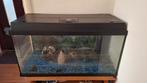 Juwel aquarium, Dieren en Toebehoren, Ophalen, Gebruikt, Leeg aquarium