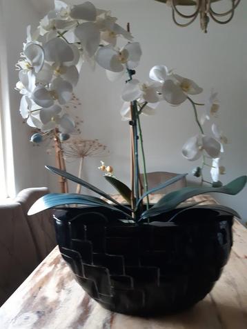 Grote Ovale Bloempot met Kunst Orchidee.
