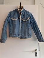Winterjas., Blauw, Zo goed als nieuw, Levi's, Ophalen