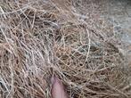 Hooi, Dieren en Toebehoren, Dierenvoeding, Ophalen of Verzenden, Vee
