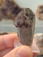 Rookkwarts met Amethist Scepter - Brandberg, Namibië, Ophalen of Verzenden, Mineraal
