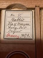 Antieke microscoop preparaten in kistje, Antiek en Kunst, Ophalen