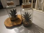 2x Nep Plantjes in Glas - Decoratief, Ophalen of Verzenden