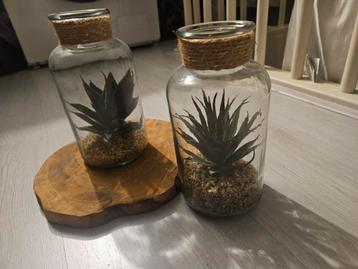 2x Nep Plantjes in Glas - Decoratief beschikbaar voor biedingen