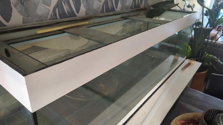 Aquarium voor Reptielen 2meter 60x60, Dieren en Toebehoren, Reptielen en Amfibieën | Toebehoren, Zo goed als nieuw, Terrarium of Paludarium