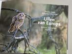 Uilen Van Europa - Biologie, Kenmerken, Populaties