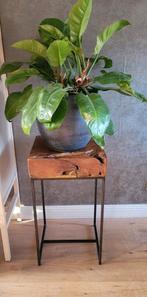 Prachtige zuil met ijzeren poot evt incl pot, Huis en Inrichting, Woonaccessoires | Zuilen en Pilaren, Ophalen, Zo goed als nieuw