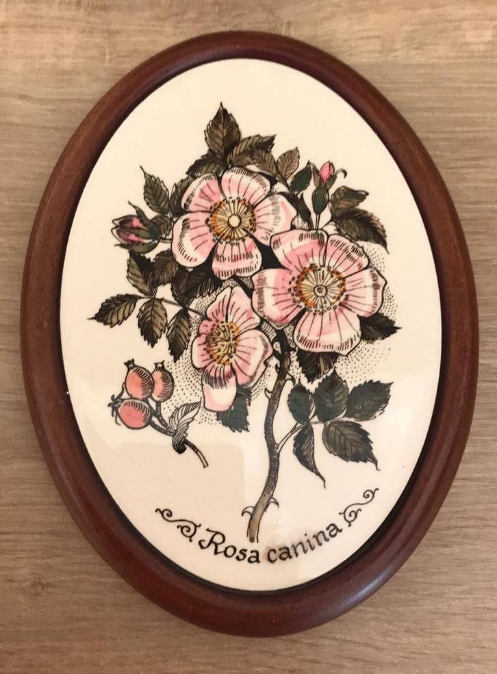 Porseleinen wandbord ‘Rosa canina’ Schoonhoven BV, Antiek en Kunst, Antiek | Wandborden en Tegels, Ophalen of Verzenden