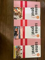 Samengevat examen vwo eco, geschiedenis en bedrijfseconomie, Boeken, Schoolboeken, Ophalen of Verzenden, Zo goed als nieuw, VWO