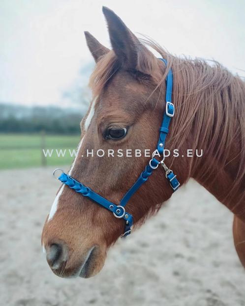 Biothane kaptoom MAEVE - geheel naar wens/op maat gemaakt!, Dieren en Toebehoren, Paarden en Pony's | Hoofdstellen en Tuigage