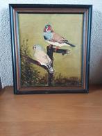 Zebra vinken met olieverf geschilderd 10 euro, Ophalen of Verzenden