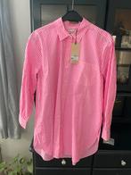 Scotch & soda blouse 38/M nieuw gestreept roze wit, Maat 38/40 (M), Verzenden, Nieuw, Scotch & Soda