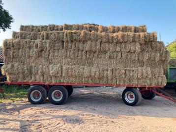 Hooi eeste snede 2025 vers van het land beschikbaar voor biedingen