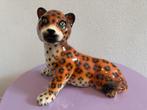 Hispania Daisa Porselein Cheetah Beeld, Ophalen of Verzenden, Zo goed als nieuw, Overige typen