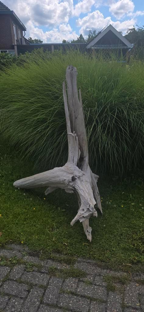 hele grote hardhouten boomstronk  tuindecoratie, Tuin en Terras, Tuinbeelden, Nieuw, Overige typen, Hout, Ophalen