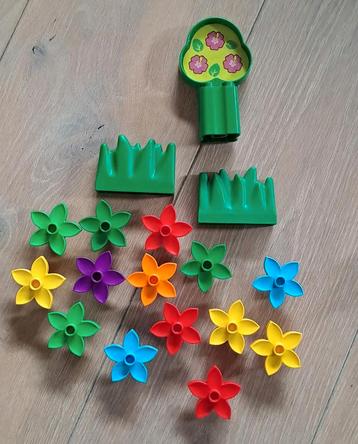 Duplo Bloemen, Gras en Boom beschikbaar voor biedingen