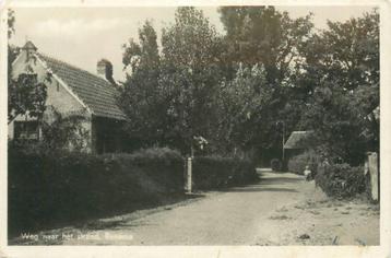 (378-288-025) Renesse Weg naar het strand beschikbaar voor biedingen