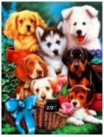 diamond painting full., Ophalen of Verzenden, Nieuw, Knutselwerk