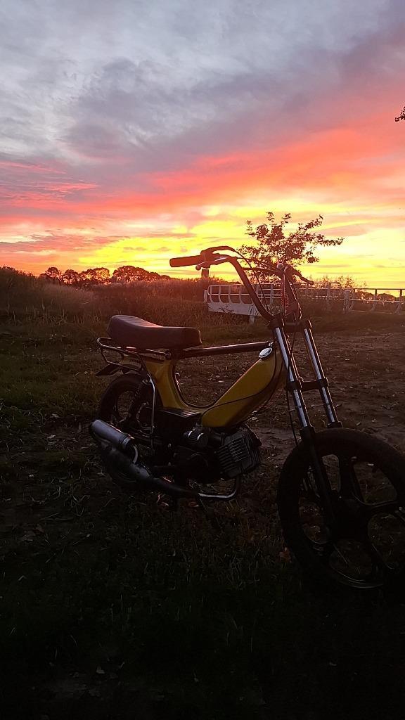 Tomos, Fietsen en Brommers, Brommers | Tomos, Zo goed als nieuw, Overige modellen, Ophalen