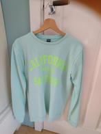 Sweater 170, Ophalen of Verzenden, Zo goed als nieuw, Jongen, Trui of Vest