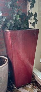 Zeer grote geglazuurde plantenbak, Tuin en Terras, Bloembakken en Plantenbakken, Ophalen, Steen, Gebruikt, Minder dan 60 cm