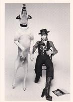 David Bowie in 1975 Ansichtkaart naar foto Terry O'Neil, Verzenden, 1980 tot heden, Ongelopen, Sterren en Beroemdheden