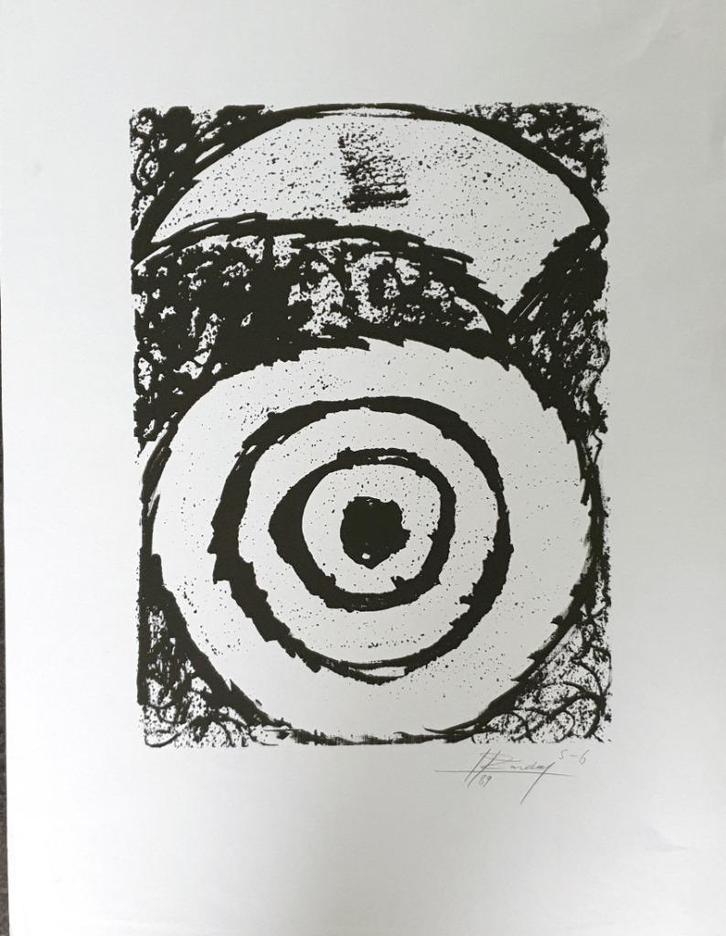 Exclusieve zeefdruk  25, Antiek en Kunst, Kunst | Litho's en Zeefdrukken, Ophalen