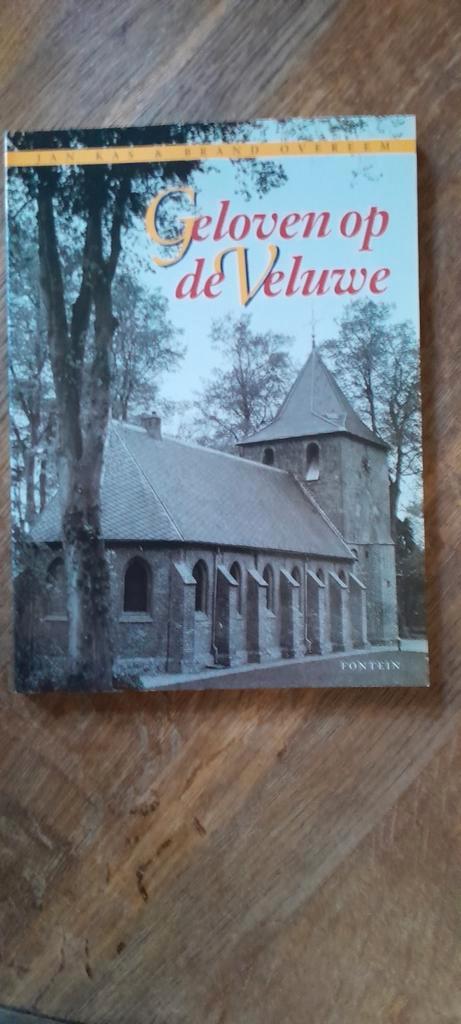 Geloven op de Veluwe - Jan Kras Brand Overeem, Boeken, Godsdienst en Theologie, Gelezen, Christendom | Katholiek, Christendom | Protestants