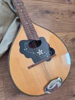 Vintage Mandoline met Draagtas - Nette Staat, Ophalen of Verzenden, Gebruikt