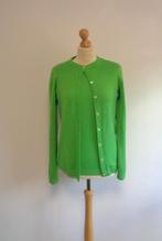 twinset peter Hahn, Kleding | Dames, Truien en Vesten, Maat 38/40 (M), Ophalen of Verzenden, Zo goed als nieuw, Peter Hahn
