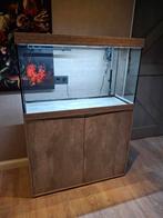 Aquatlantis aquarium betonlook, Ophalen of Verzenden, Leeg aquarium