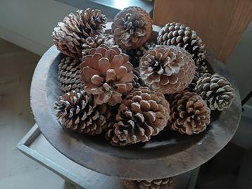 Dennenappel Decoratie beschikbaar voor biedingen