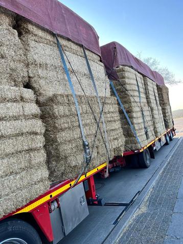 DIVERSE SOORTEN hooi te koop bij Stouten Fourage beschikbaar voor biedingen