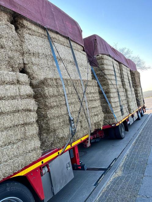DIVERSE SOORTEN hooi te koop bij Stouten Fourage, Dieren en Toebehoren, Dierenvoeding, Vee, Ophalen of Verzenden