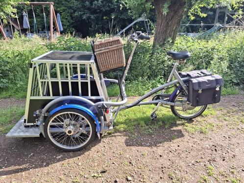 elektrische bakfiets hond. rolstoelfiets Van Raam, Fietsen en Brommers, Elektrische fietsen, Gebruikt, Overige merken, 50 km per accu of meer