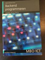 Gabriel Sánchez Cano - Backend programmeren, Informatica en Computer, Gabriel Sánchez Cano, Ophalen of Verzenden, Zo goed als nieuw