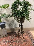 Aparte  Plantentafel, Ophalen