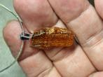 amber hangers met ketting, Ophalen of Verzenden, Nieuw, Overige materialen, Overige voorstellingen