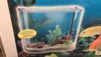 Aquarium, Disign Aquarium, Dieren en Toebehoren, Vissen | Aquaria en Toebehoren, Ophalen, Nvt., Nieuw, Leeg aquarium