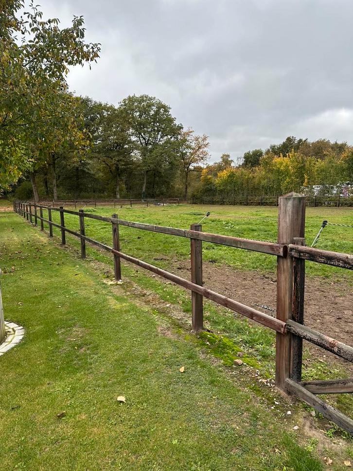 Omheining, Dieren en Toebehoren, Stalling en Weidegang, Weidegang