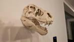 Schitterende T-Rex Schedel! Muur Decoratie! NIEUW!, Ophalen of Verzenden, Nieuw, Reptiel of Amfibie, Schedel