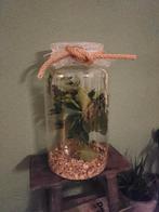 5 wandelende takken compleet, Wandelende tak