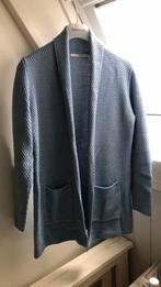 Prachtig vest van Sibin Linnebjerg M zgan, Kleding | Dames, Verzenden, Zo goed als nieuw