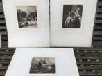 3 Gravures van W. Unger, Antiek en Kunst, Kunst | Etsen en Gravures, Ophalen of Verzenden
