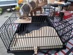 Hamster kooi, Dieren en Toebehoren, Knaagdieren en Konijnen | Hokken en Kooien, Kooi, Gebruikt, Minder dan 75 cm, Hamster